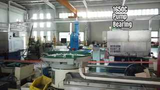 Cuscinetti per pompe per temperature estreme 1650C