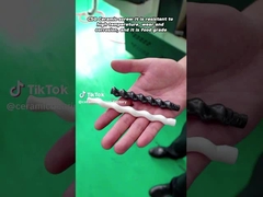 Rotore della pompa a singola / doppia vite in ceramica personalizzato