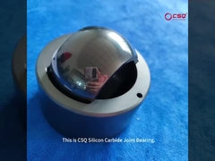 SSIC Cuscinetto di giunzione in ceramica utilizzato per pompe