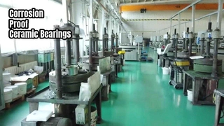 Cuscinetti in ceramica per app in acciaio inossidabile