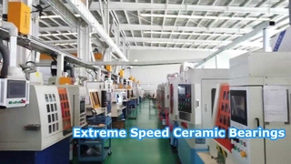 Cuscinetti in ceramica Carico elevato ad alta velocità