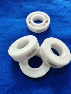 6004 6005 Full Ceramic Ball Bearing with ZrO2 Rings and Balls PTFE Cage and Seals P6/P5 Grade Precision