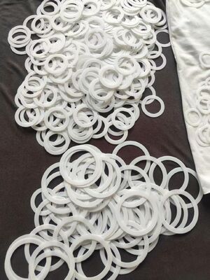 6004 6005 Full Ceramic Ball Bearing with ZrO2 Rings and Balls PTFE Cage and Seals P6/P5 Grade Precision